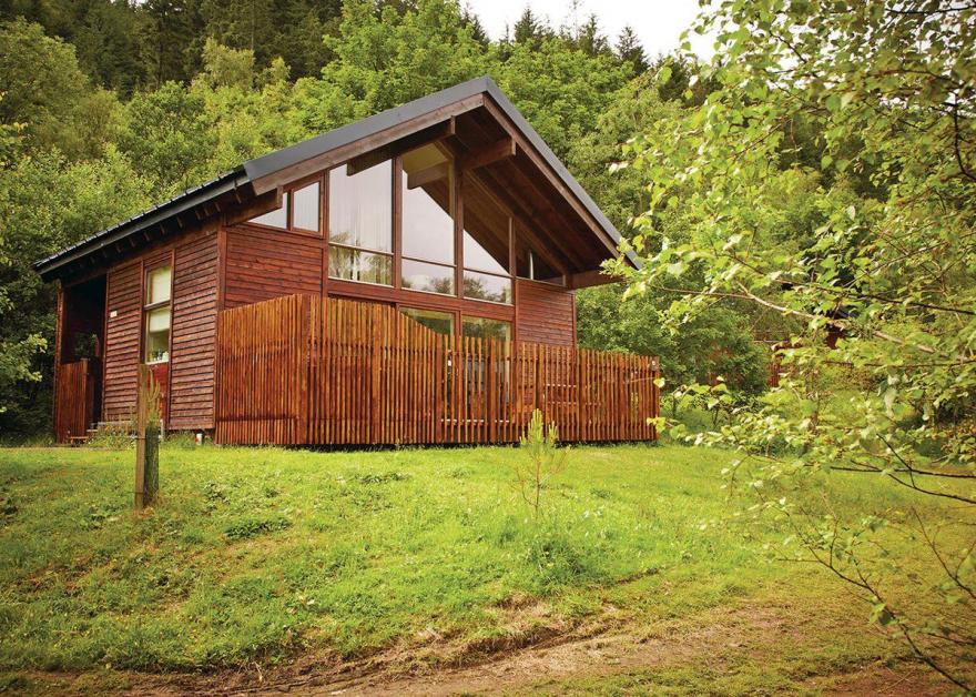 Golden Oak Lochside 4 (Pet)