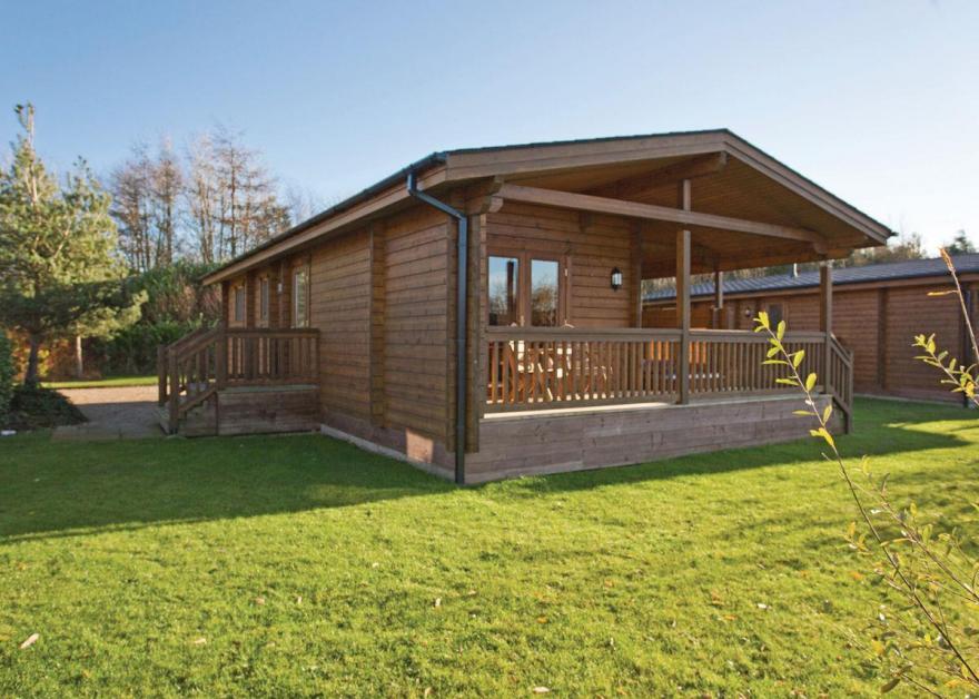 Dragonfly Watersedge