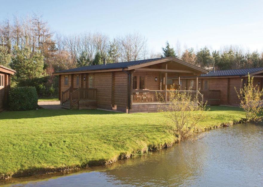 Dragonfly Watersedge