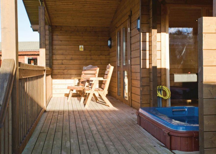 Dragonfly Watersedge