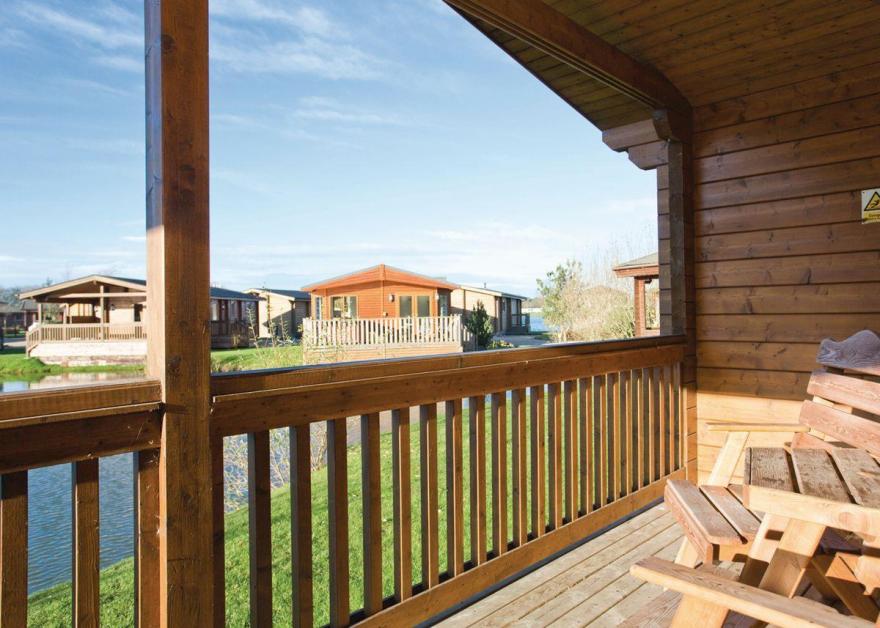 Dragonfly Watersedge