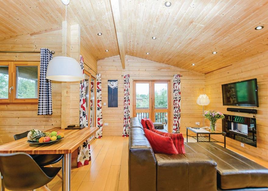 Dragonfly Watersedge