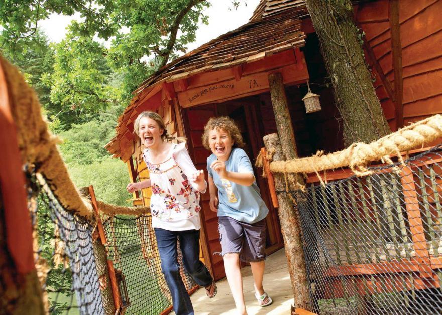 Deerpark Golden Oak Treehouse