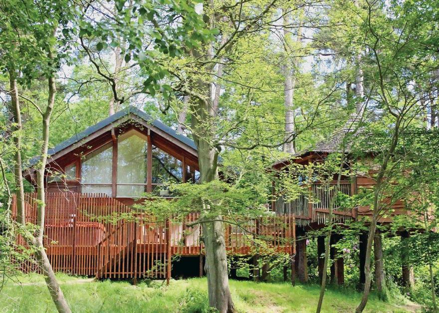 Keldy Golden Oak Treehouse