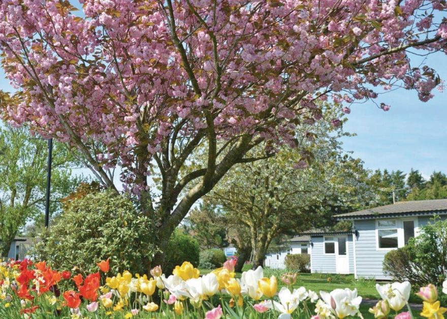 Grasmere Silver Chalet