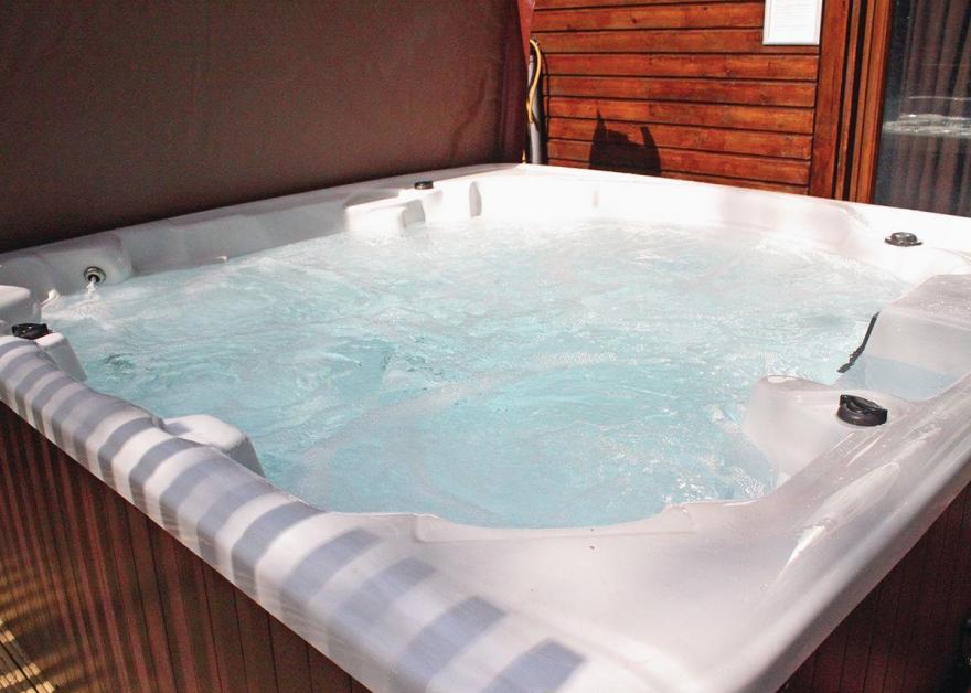 Deerpark Silver Birch 2