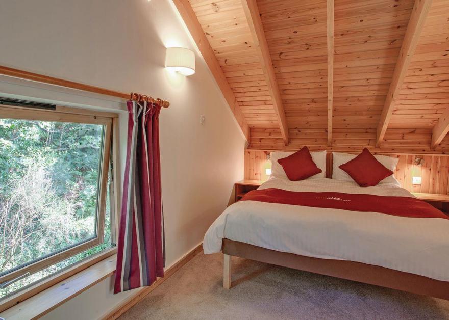 Deerpark Silver Birch 2