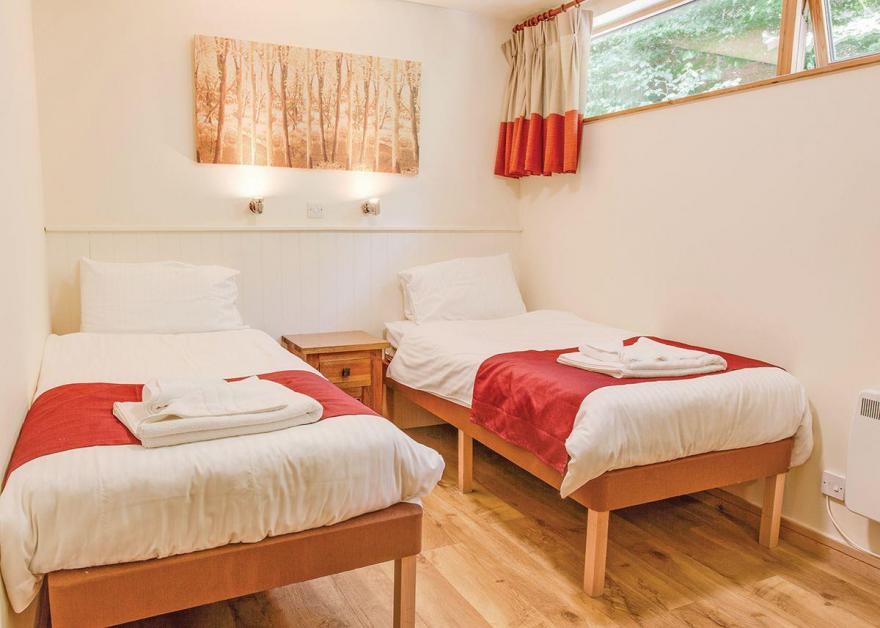 Deerpark Silver Birch 2