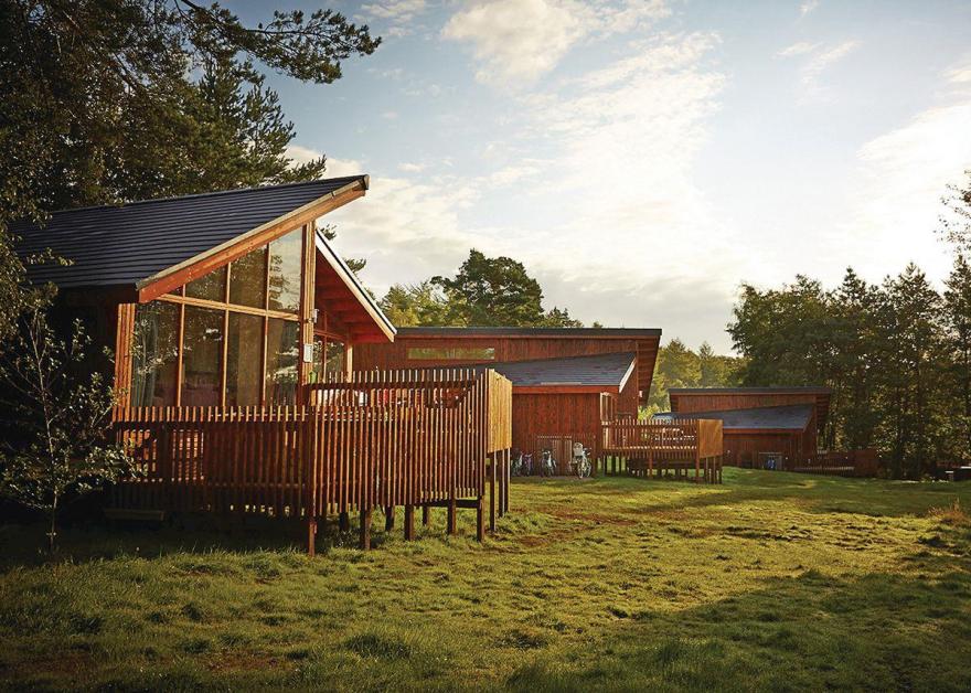 Cropton Silver Birch 2