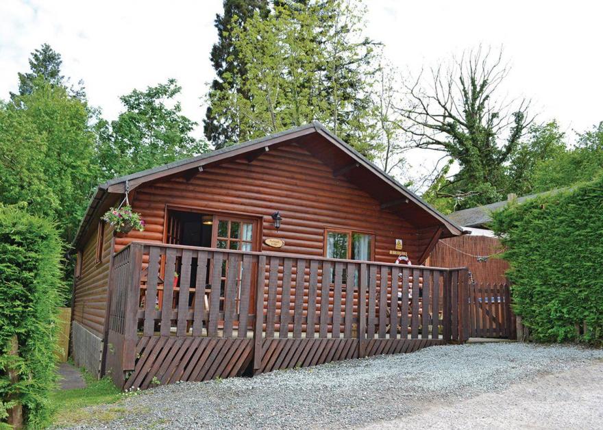 Redwood Boutique Lodge