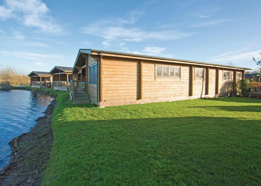 Water Reed Watersedge