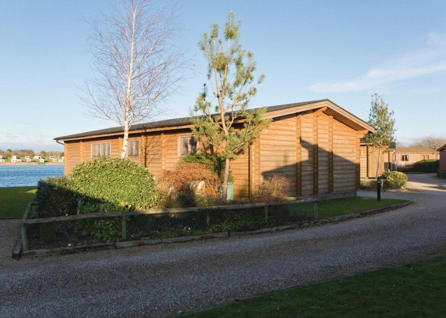 Water Reed Watersedge