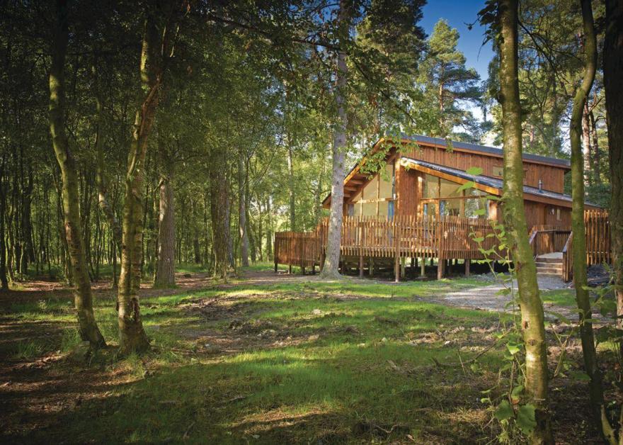 Cropton Golden Oak 1