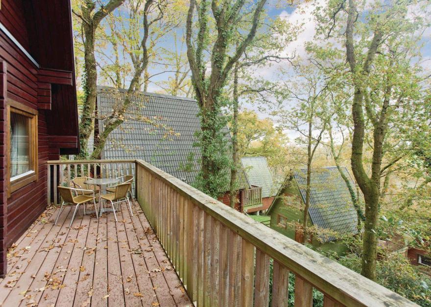 Luxury Woodland Lodge Six