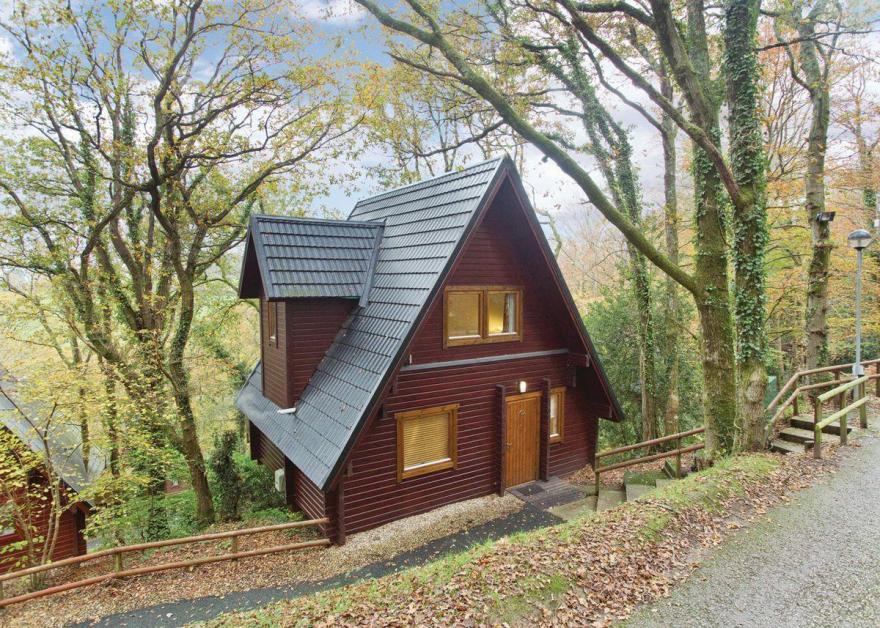 Luxury Woodland Lodge Six