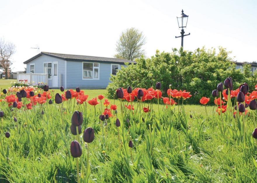 Carlisle Bay Platinum Chalet