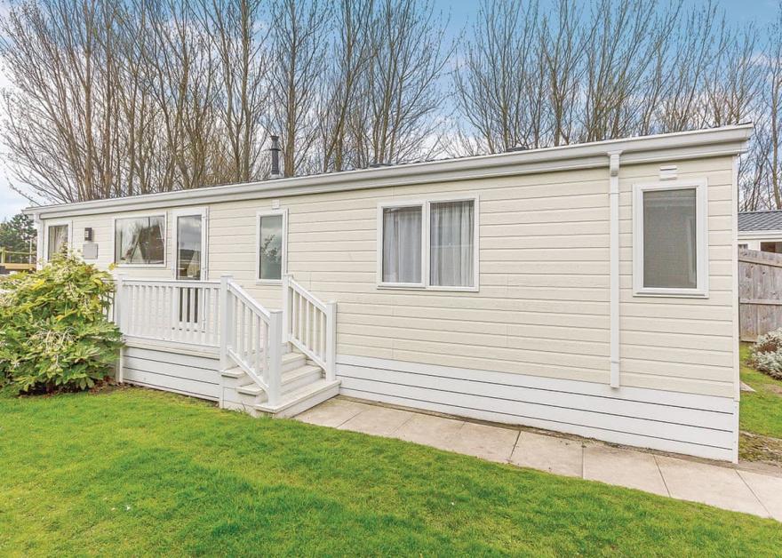 Beech Tree 3 Premier