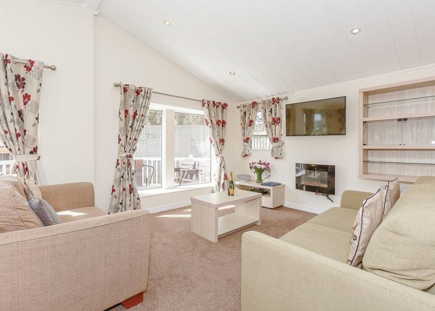 Beech Tree 3 Premier