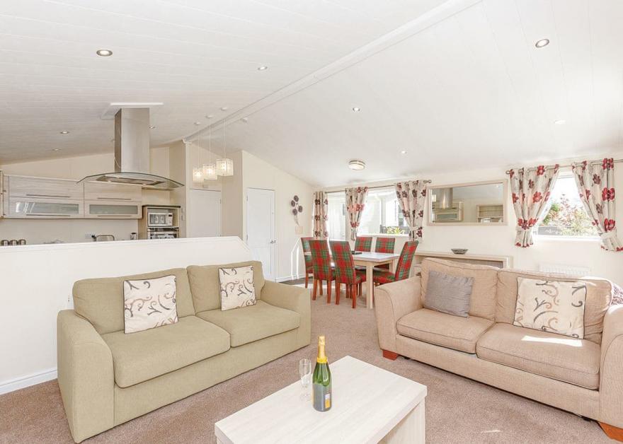 Beech Tree 3 Premier