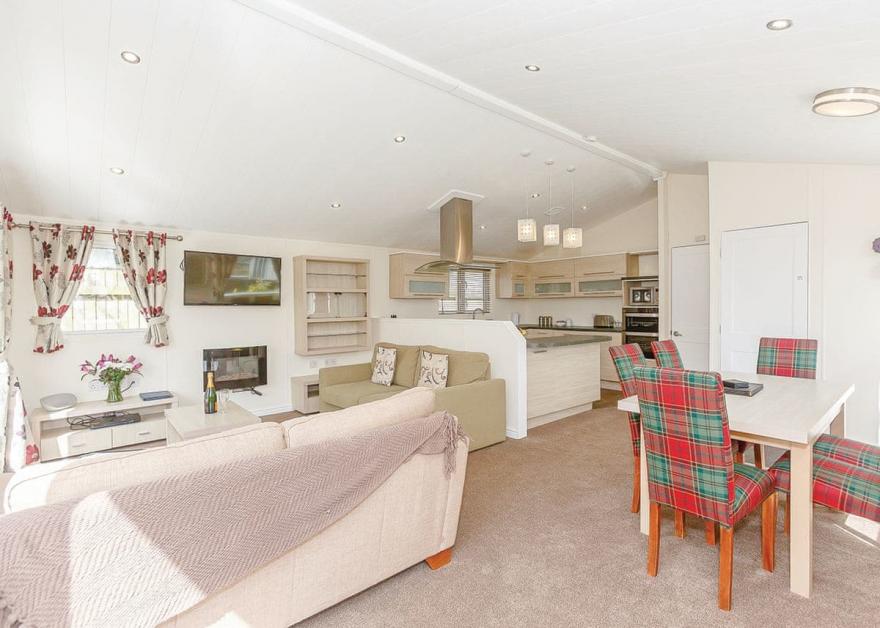 Beech Tree 3 Premier