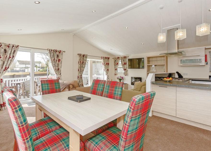 Beech Tree 3 Premier