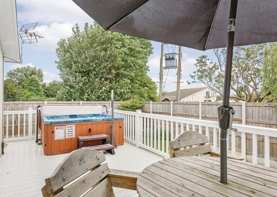 Beech Tree 3 Premier