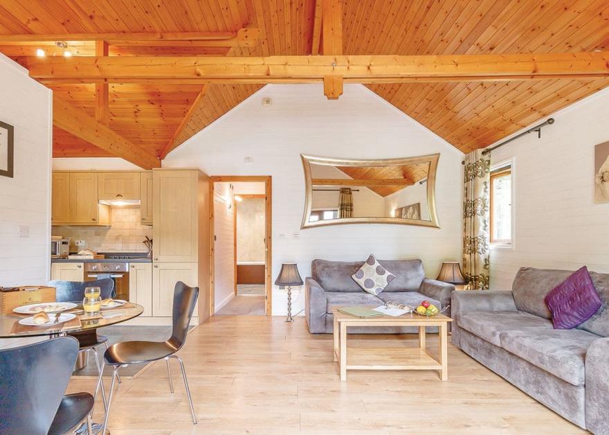 Cobbett Contemporary Premier