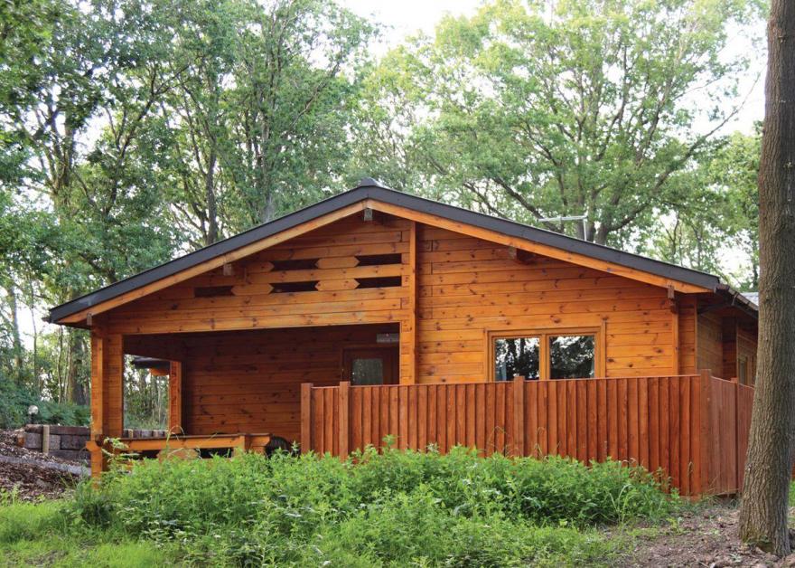 Woodland Birch Lodge