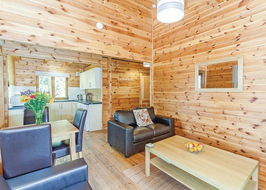 Woodland Willow Lodge