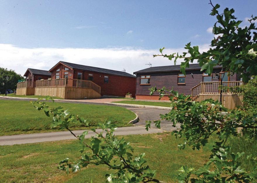 Loxley Executive Plus