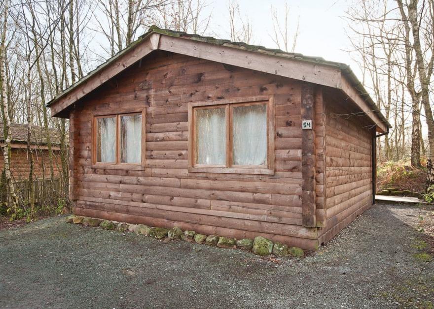 Squirrel Log Cabin 4