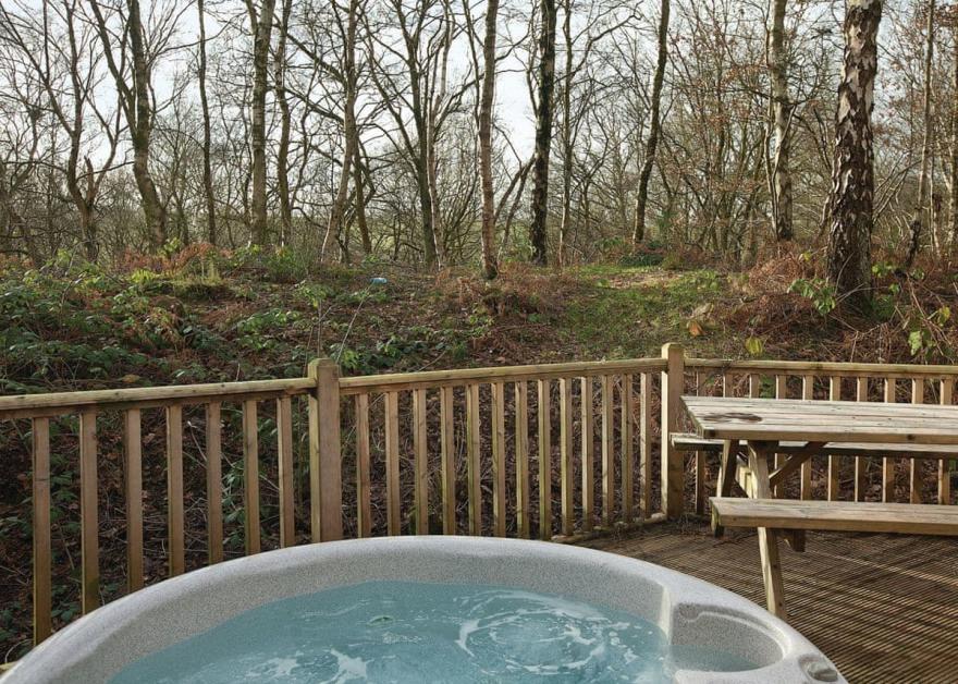 Squirrel Log Cabin 4