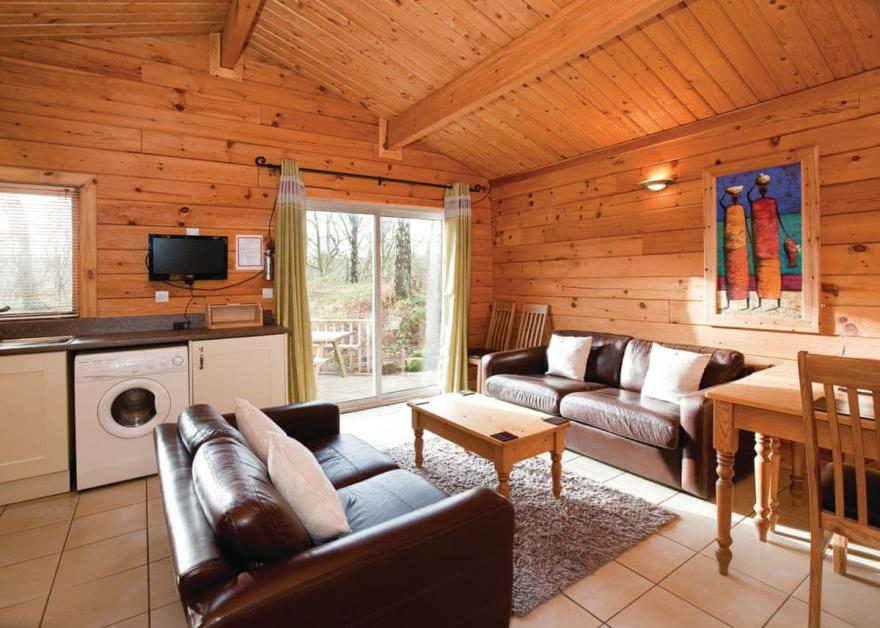 Squirrel Log Cabin 4