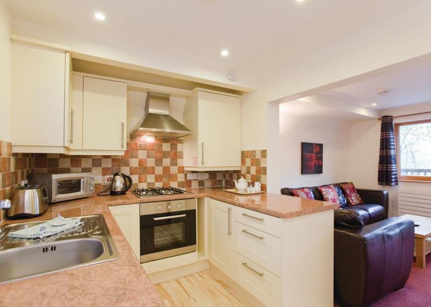 Luxury Woodland Lodge Four