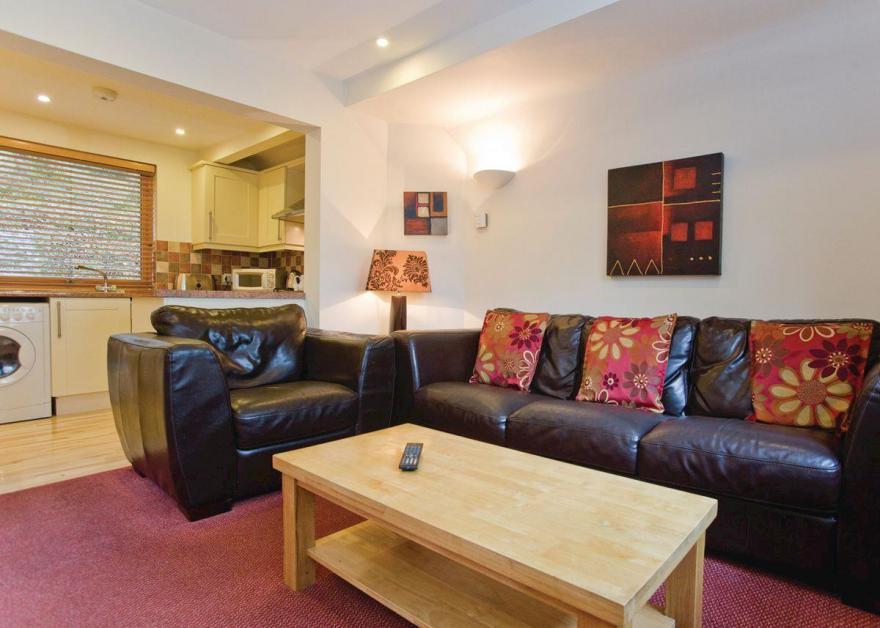 Luxury Woodland Lodge Four