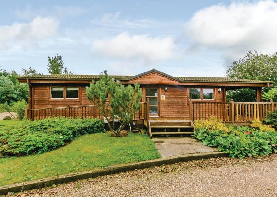 Bulrush Watersedge (Pet)