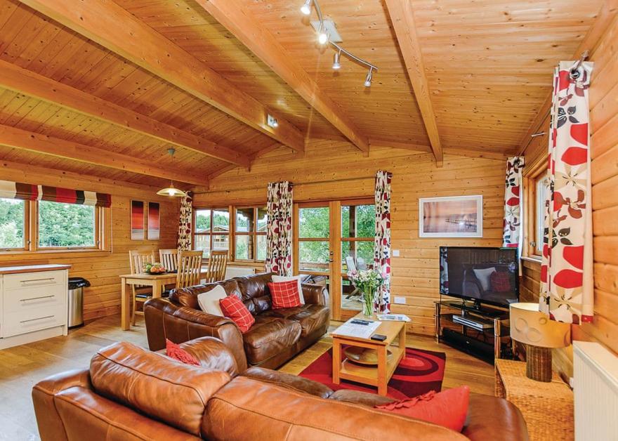 Bulrush Watersedge (Pet)