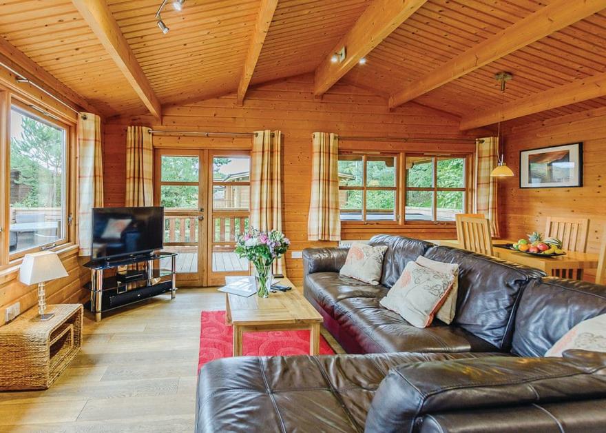 Bulrush Lakeview (Pet)