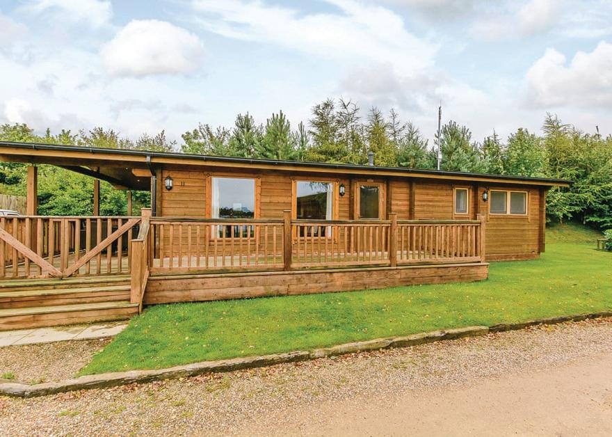 Water Reed Lakeview (Pet)