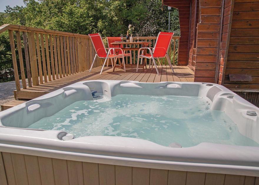 Buzzard Woodside Lodge