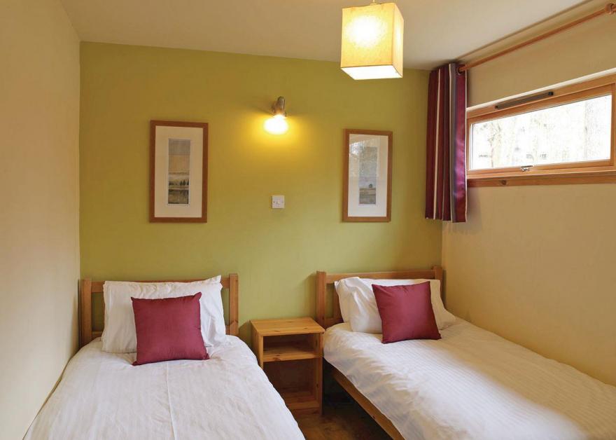 Keldy Silver Birch 2