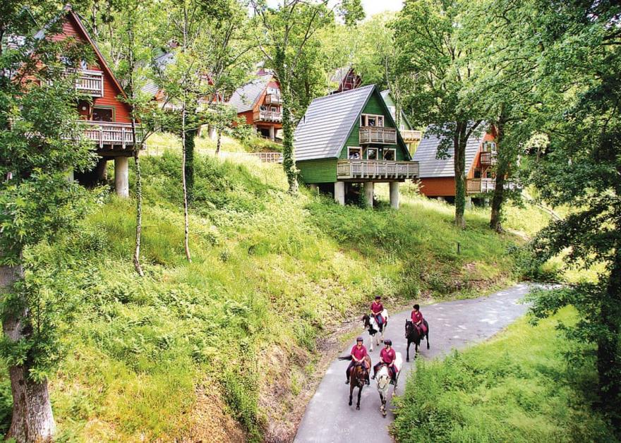 Deluxe Woodland Lodge Six