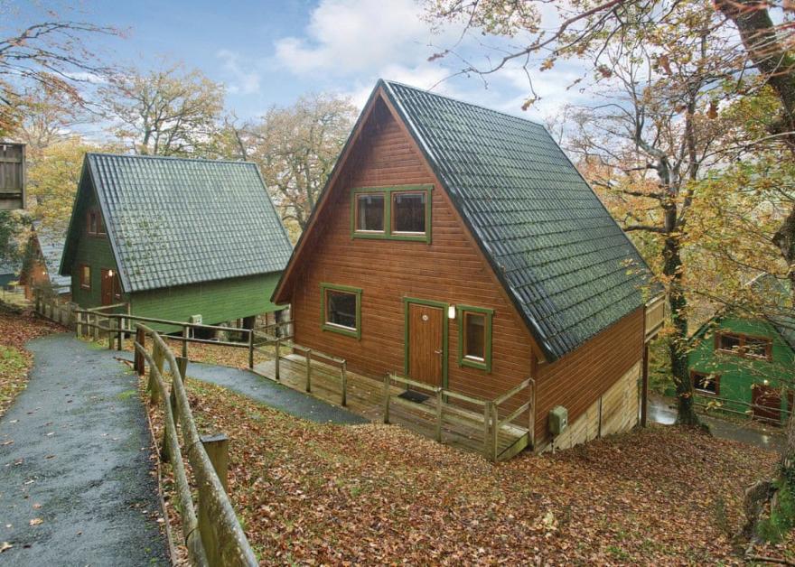 Deluxe Woodland Lodge Six