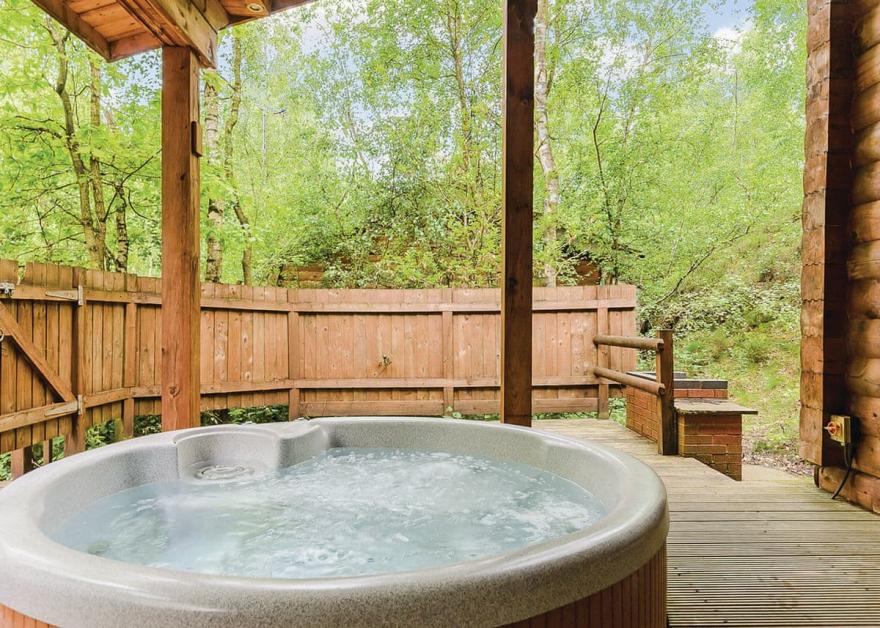 Woodpecker Log Cabin 2