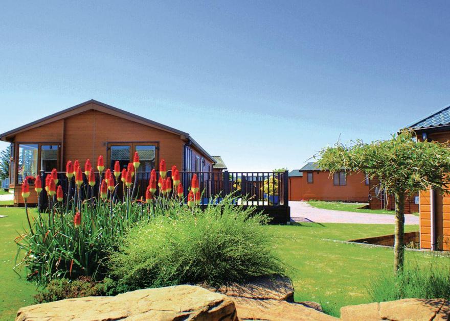 Mullacott Mini Lodge