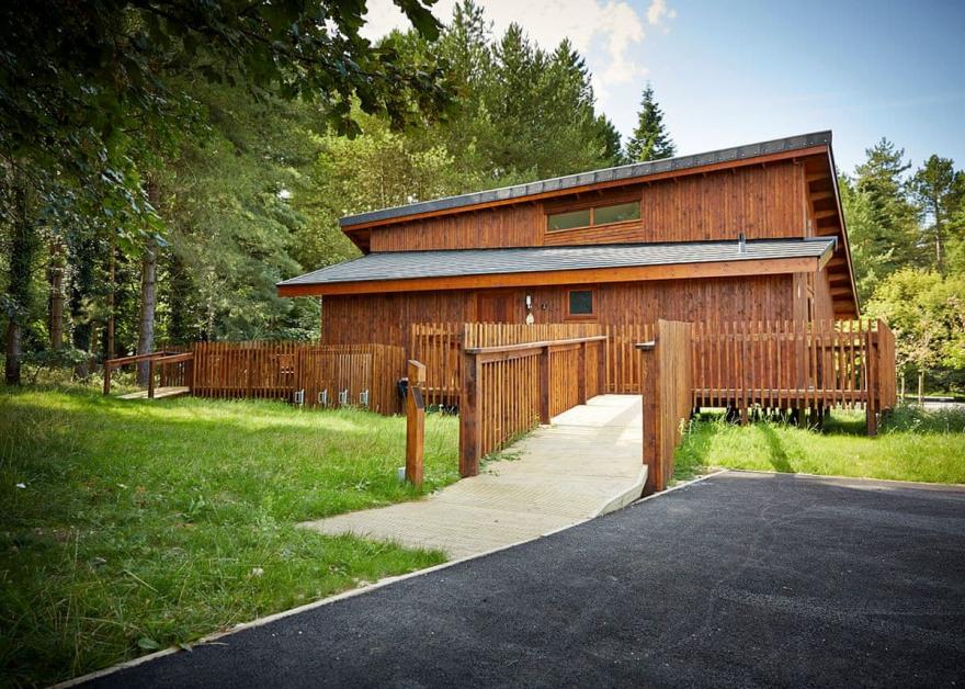 Argyll Silver Birch 2 WF (Pet)