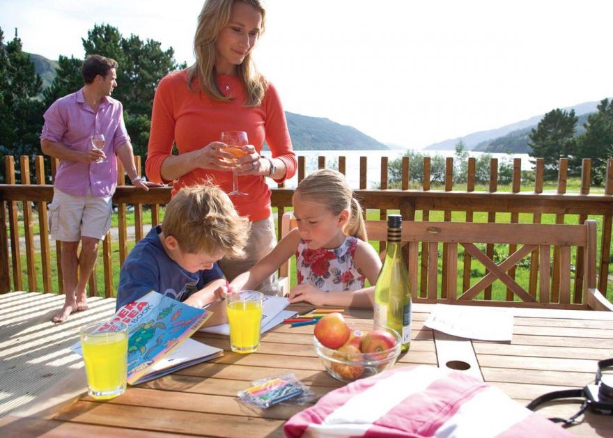 Argyll Silver Birch 2 WF (Pet)