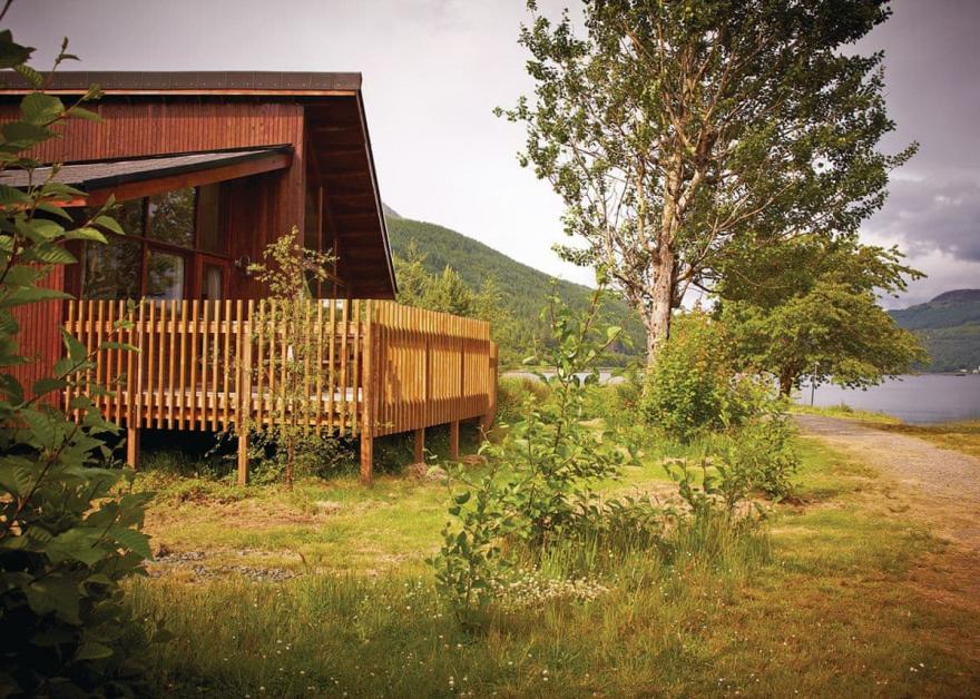 Argyll Silver Birch 3 (Pet)