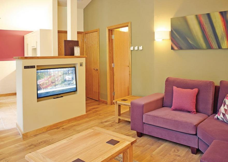 Argyll Golden Oak 1 (Pet)