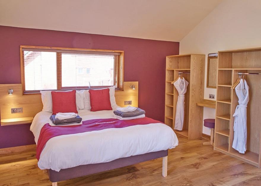 Argyll Golden Oak 1 (Pet)